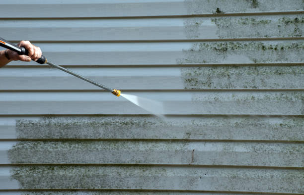 Crawl Space Mold Removal in Corvallis, OR