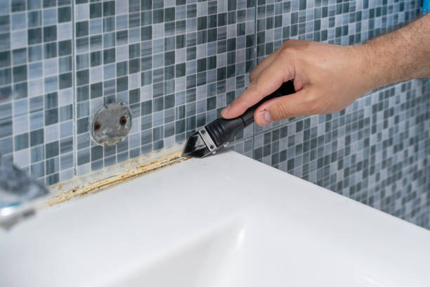 Best Best Mold Removal Companies  in Cvallis, OR
